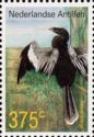 Anhinga (Anhinga anhinga)